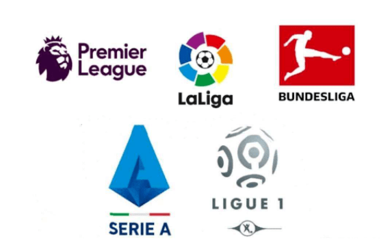 的决策支持 的决策支持